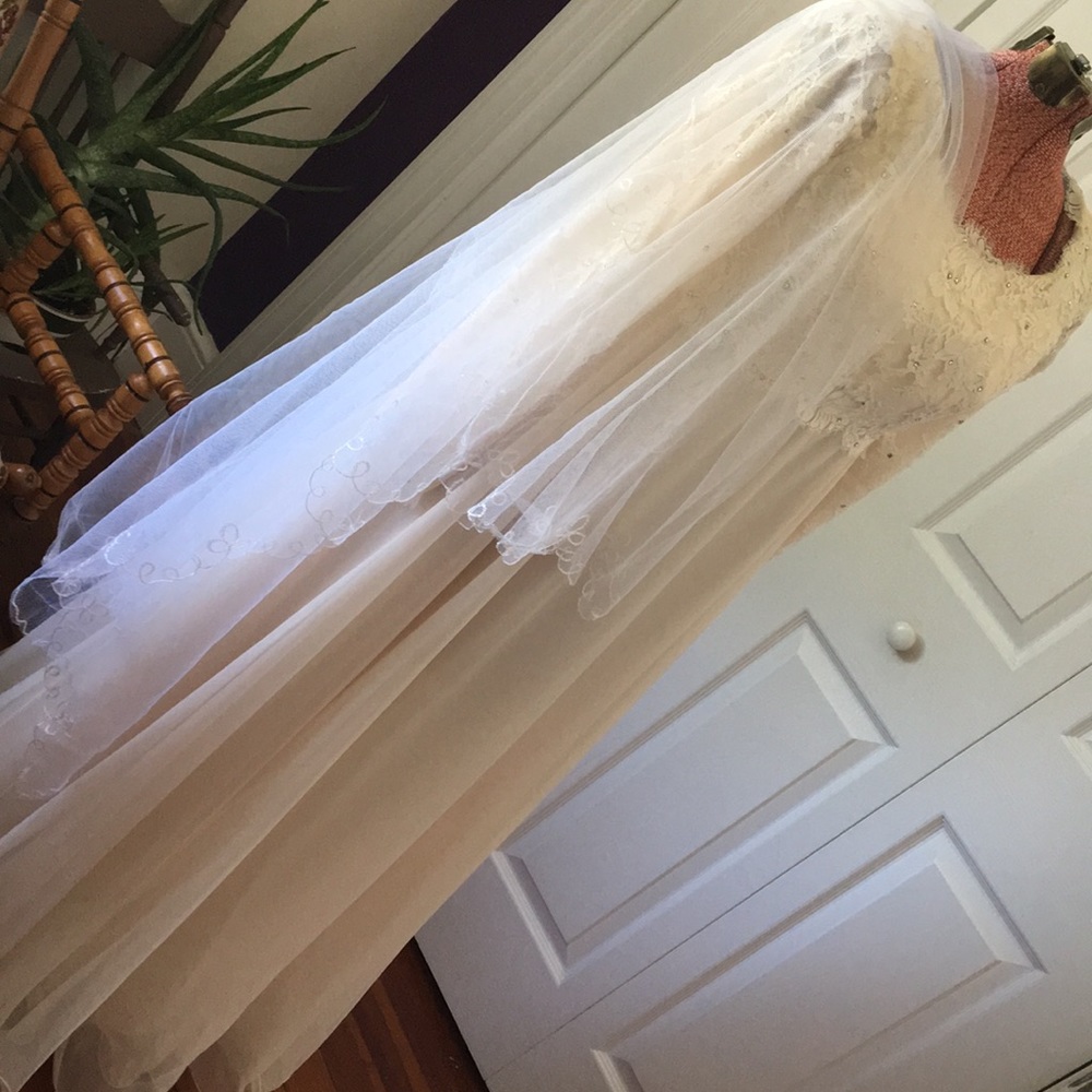 Rose Taft evening/wedding gown - Picture 8 of 8
